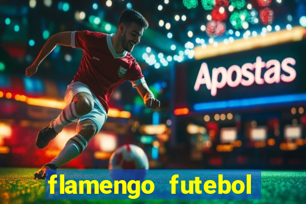 flamengo futebol play hd